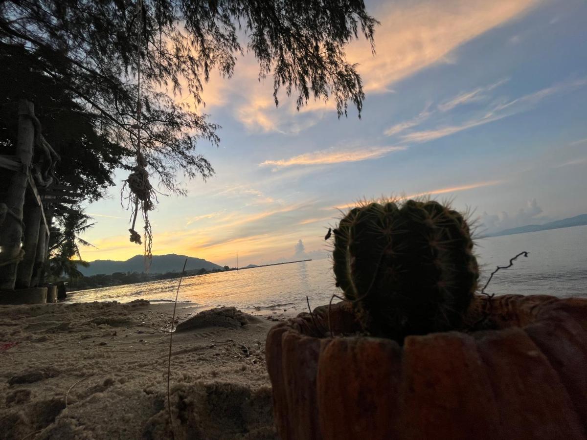 Отель Phangan Dream Box Баан Тай Экстерьер фото
