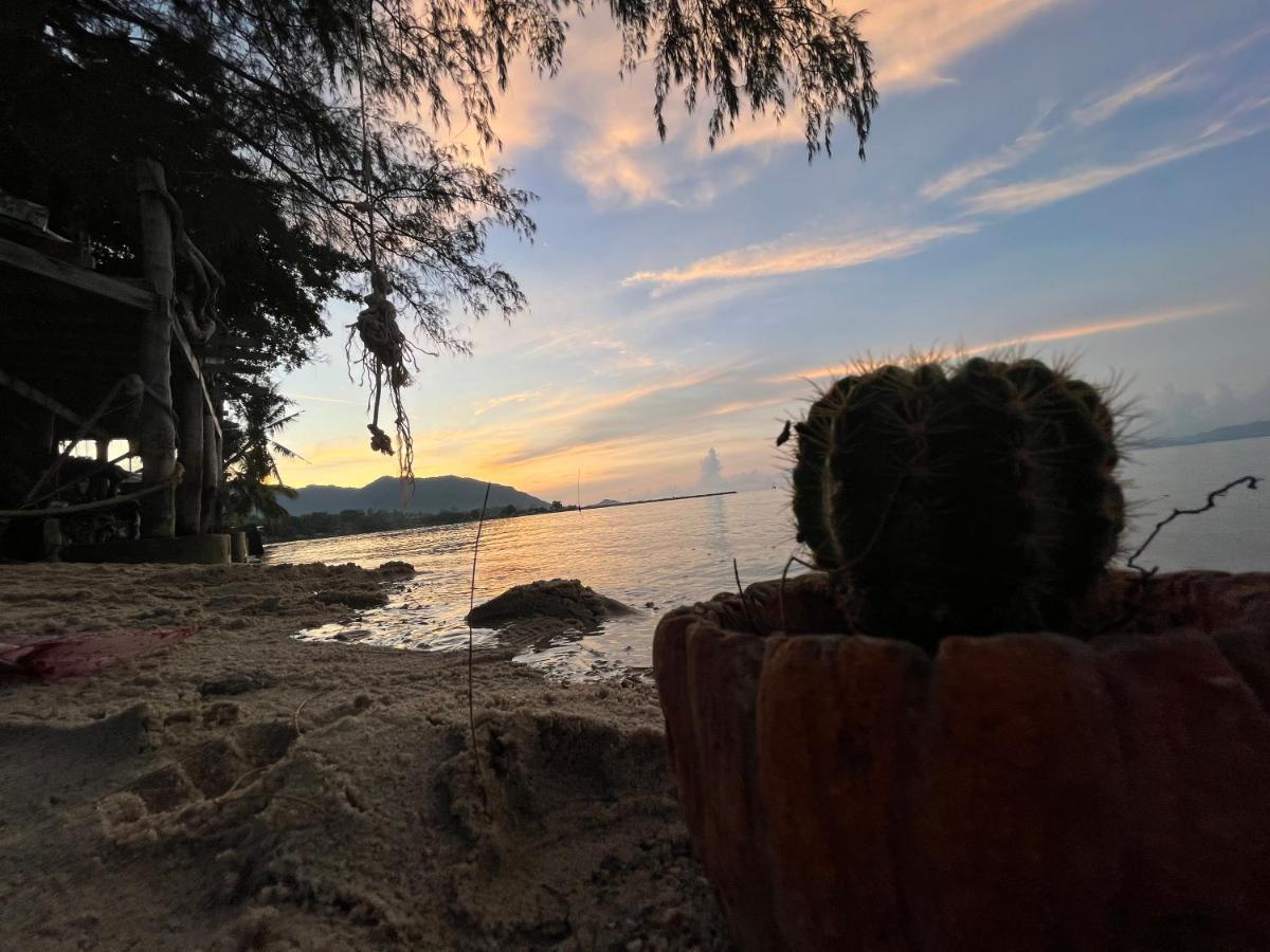 Отель Phangan Dream Box Баан Тай Экстерьер фото